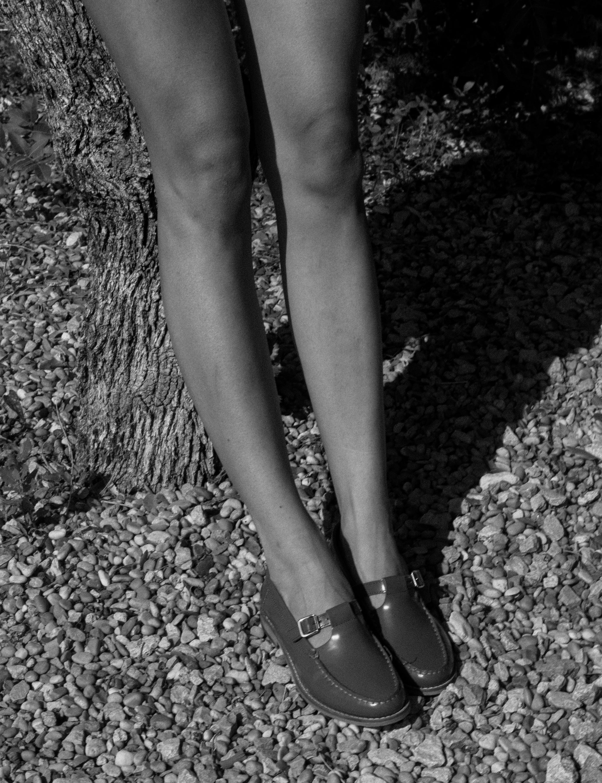 Model