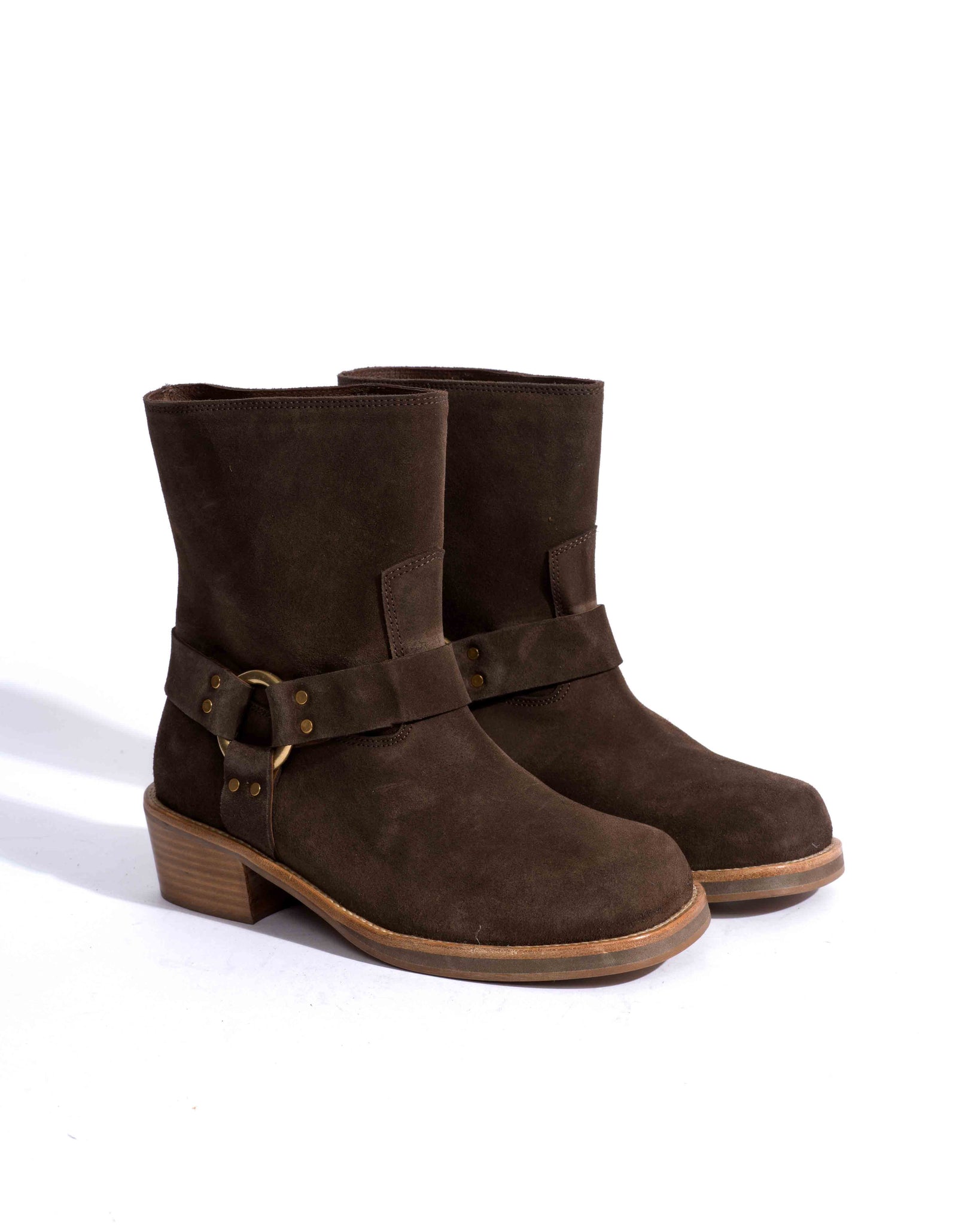 Sample-02383 - Anonymous Copenhagen Samples