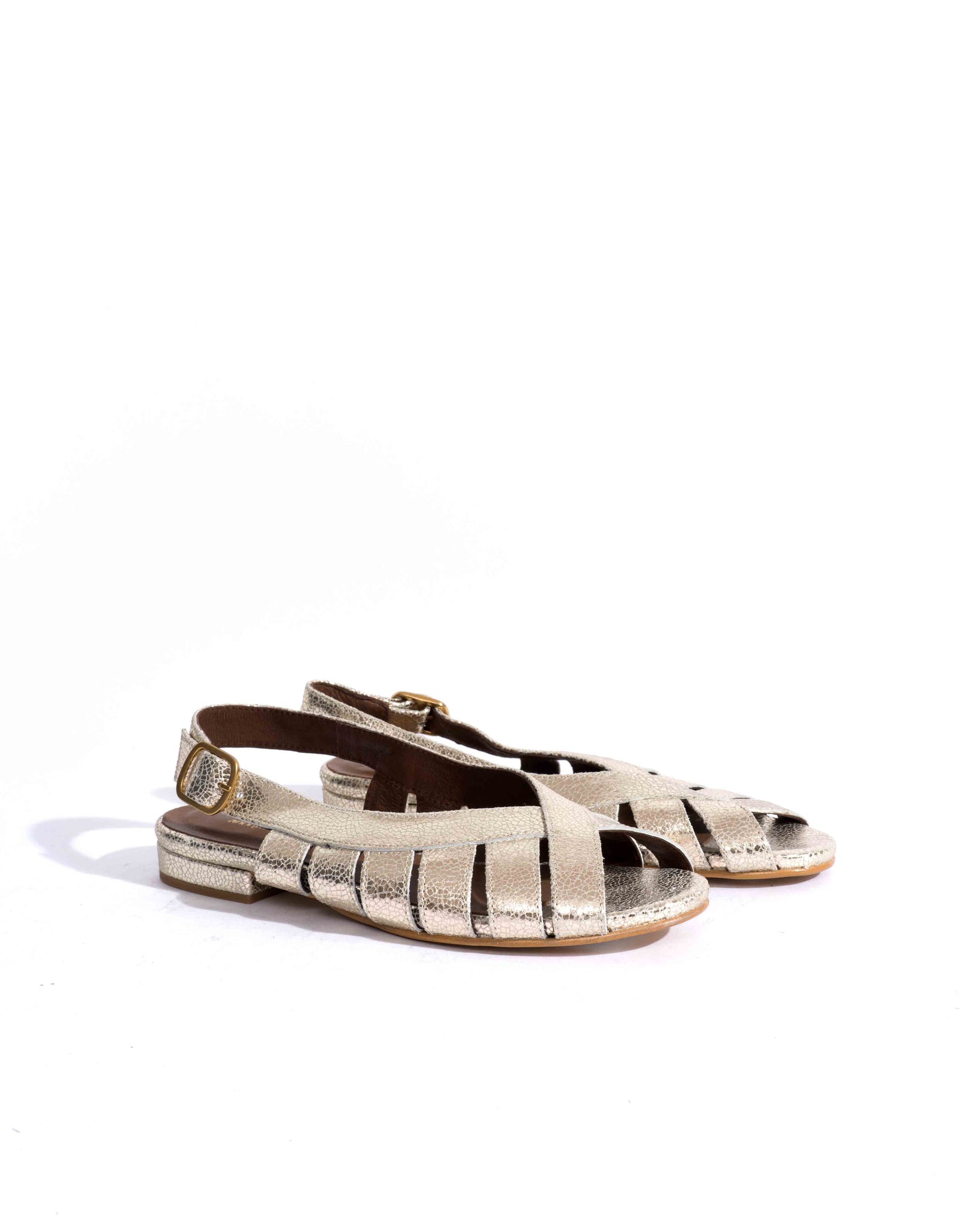 Sample-02443 - Anonymous Copenhagen Samples