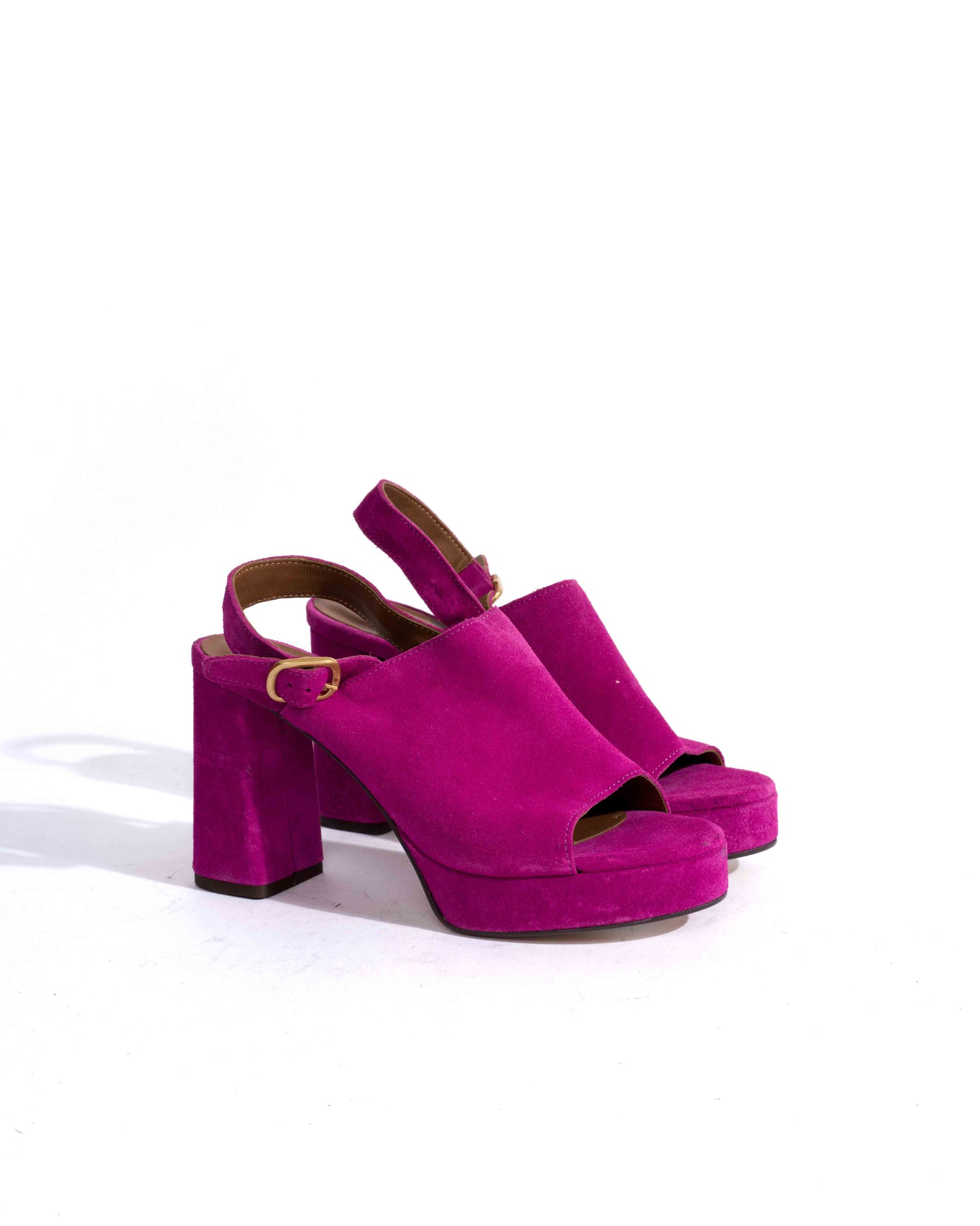 Sample-02495 - Anonymous Copenhagen Samples