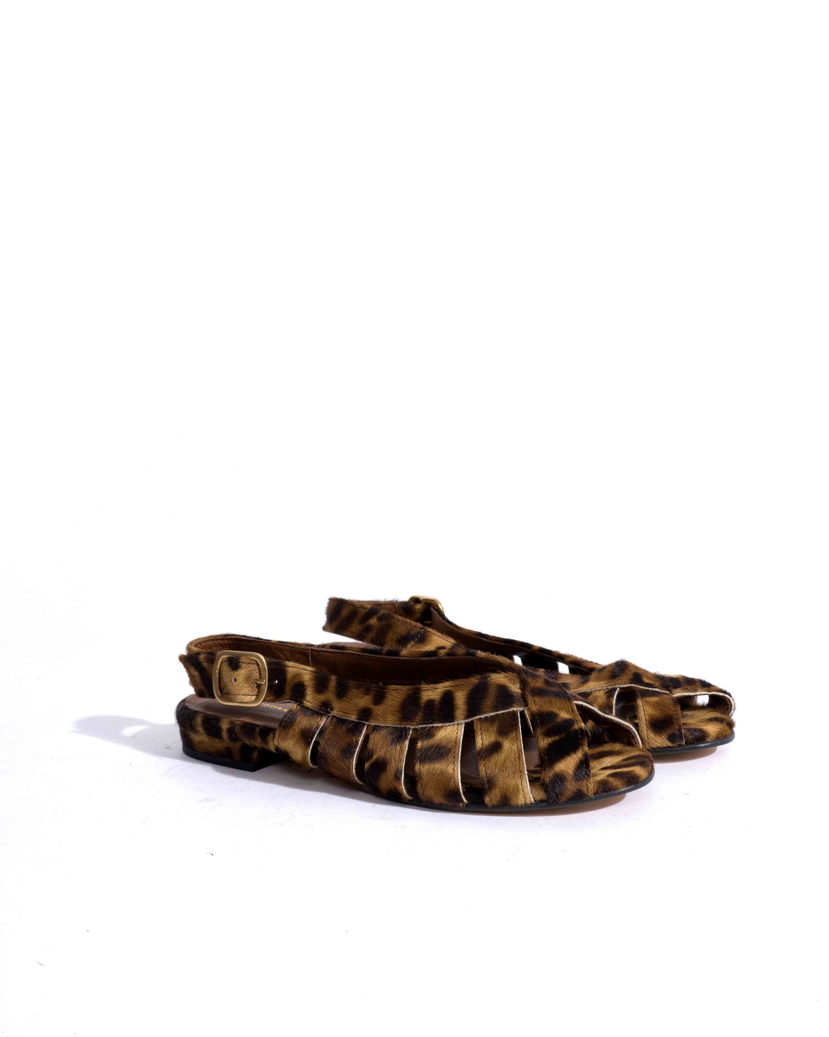 Sample-02569 - Anonymous Copenhagen Samples