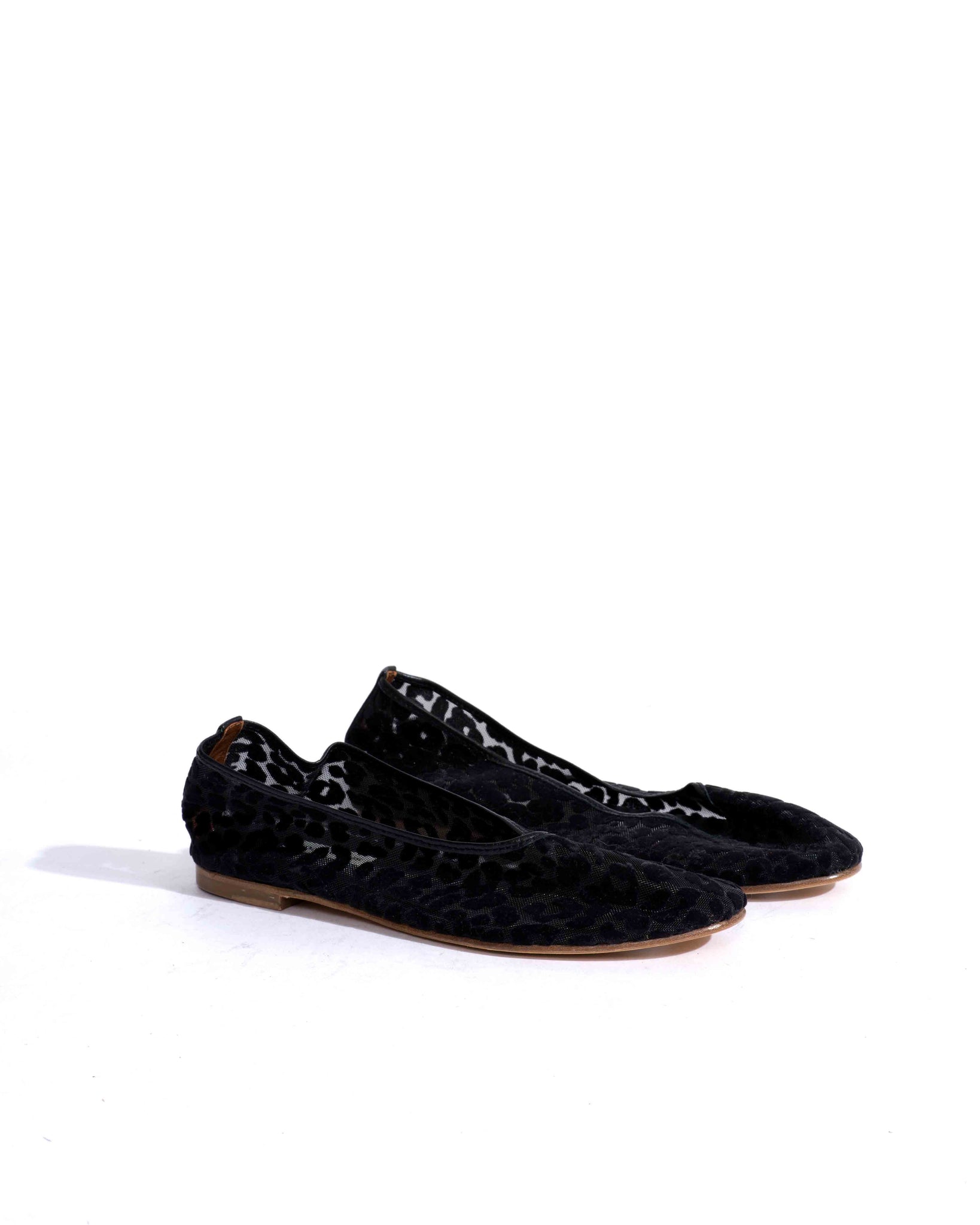 Sample-02584 - Anonymous Copenhagen Samples