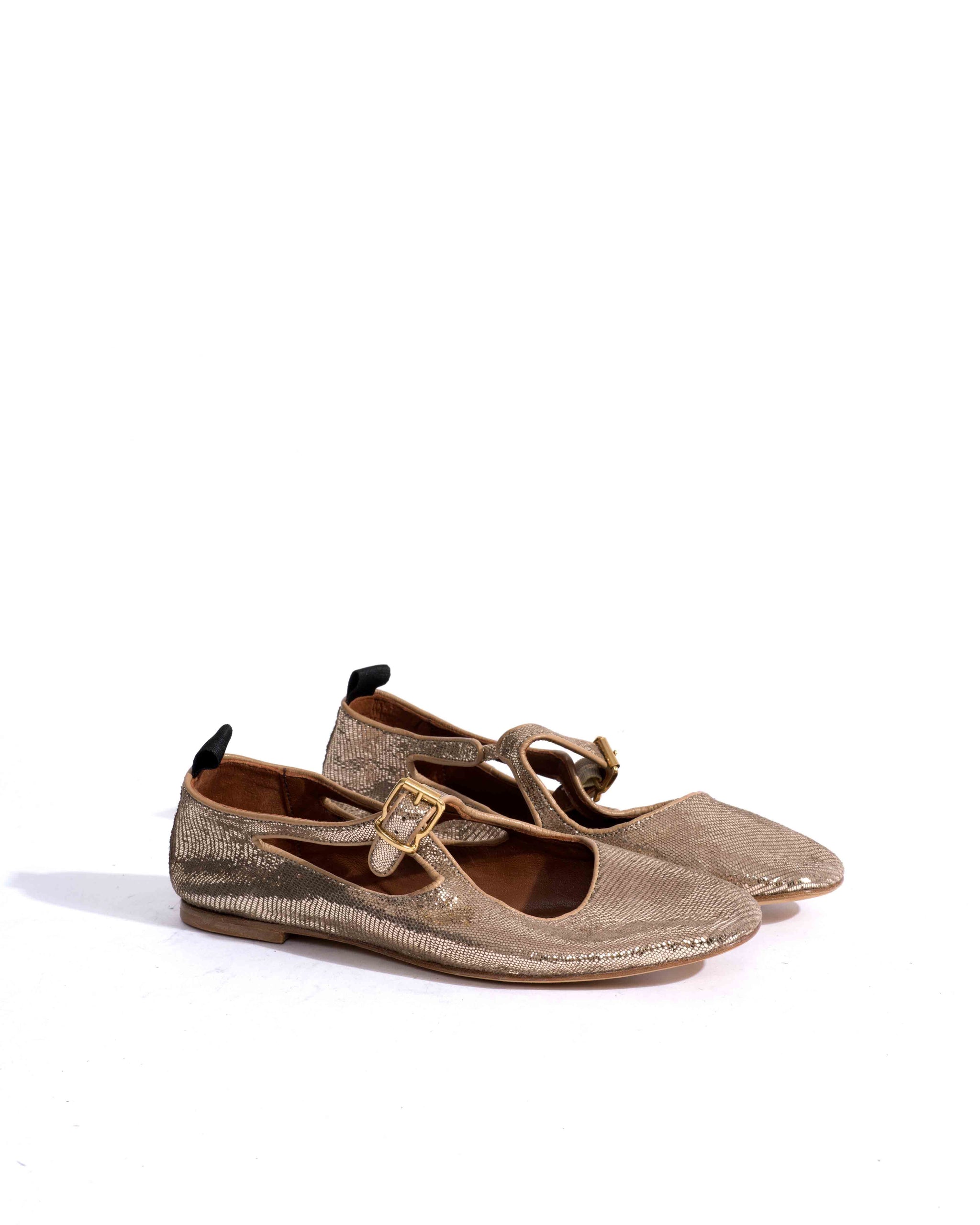 Sample-02590 - Anonymous Copenhagen Samples