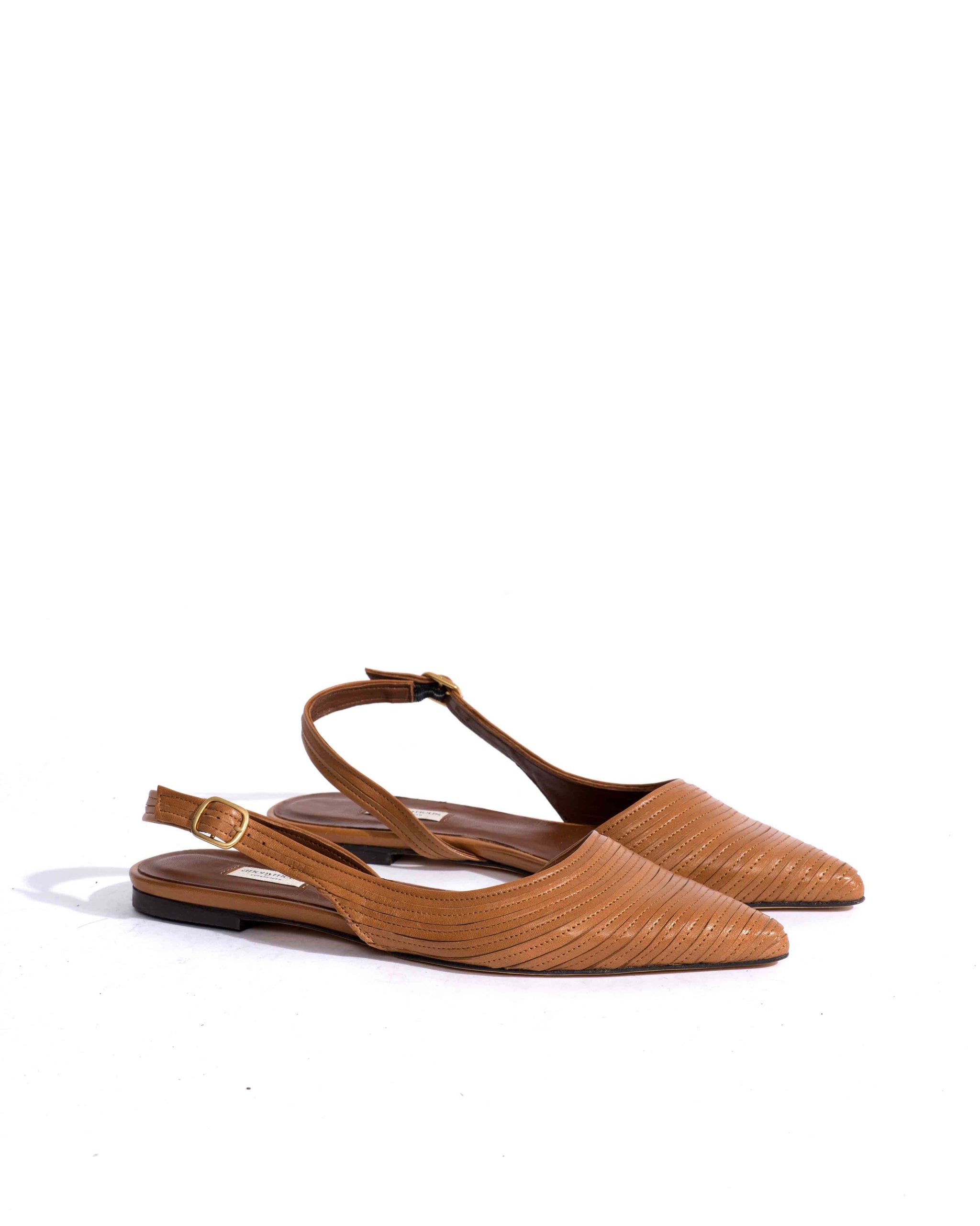 Sample-02715 - Anonymous Copenhagen Samples