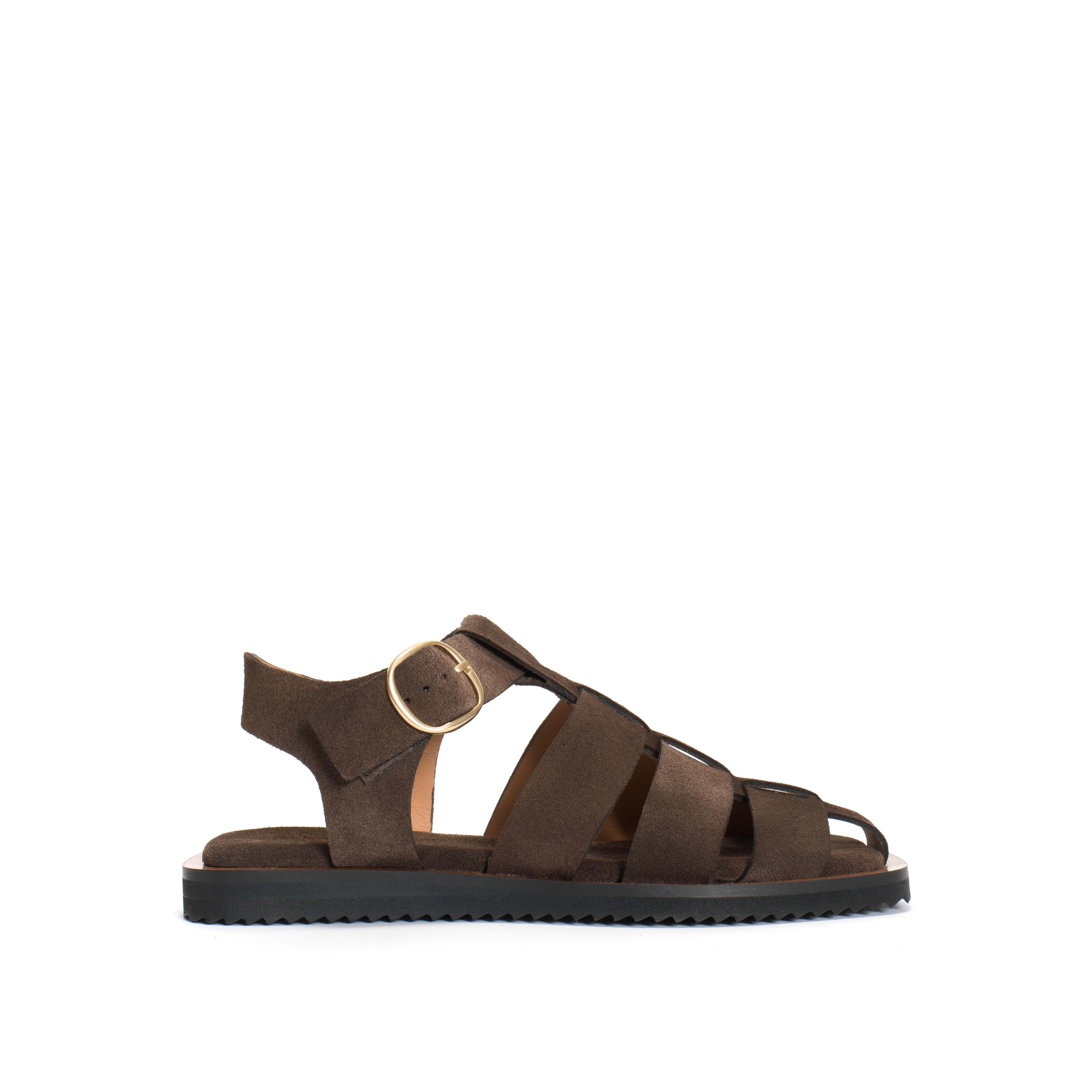 Hampell Calf suede Coffee