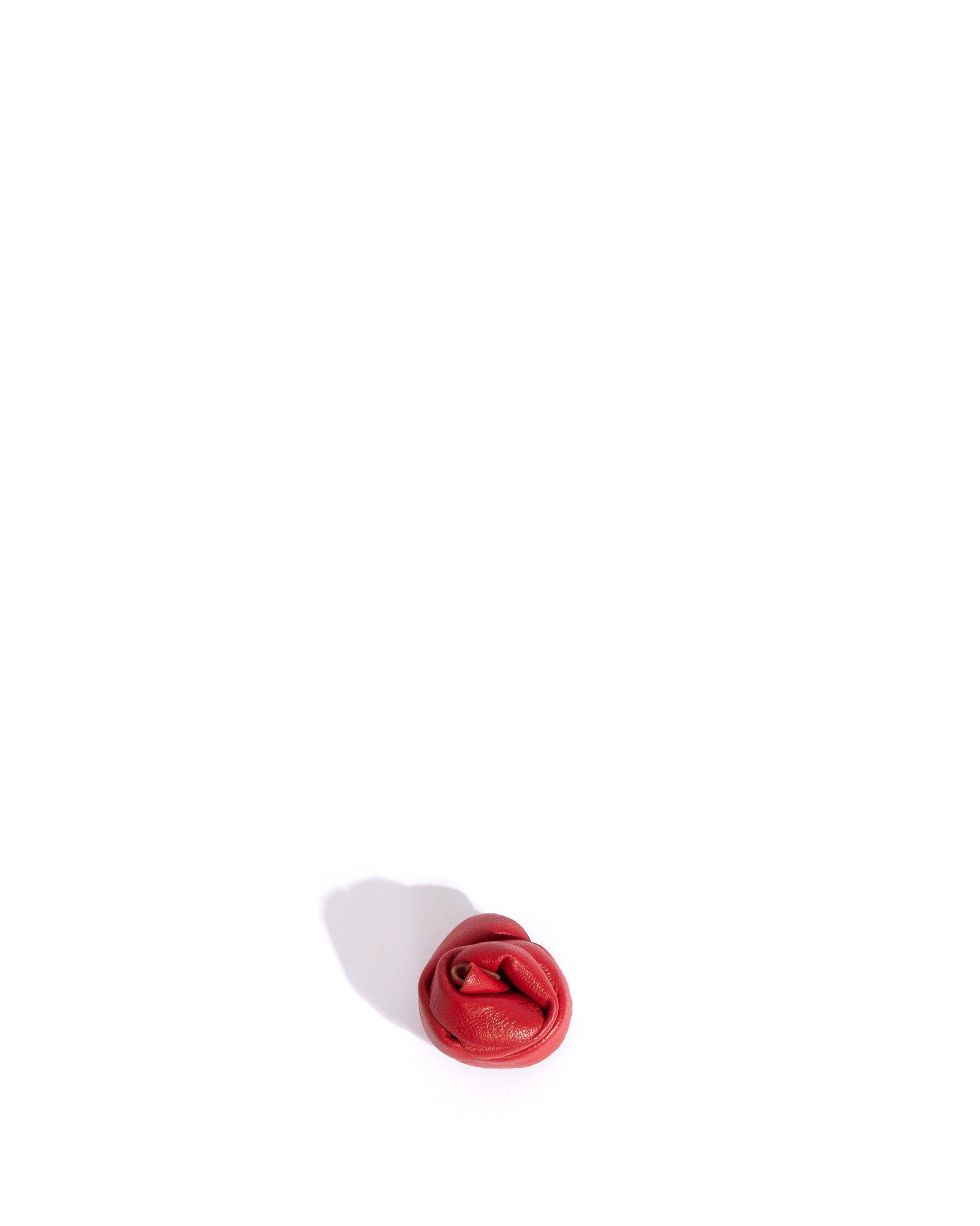 Rose shoe clip Shiny lamb Ruby red