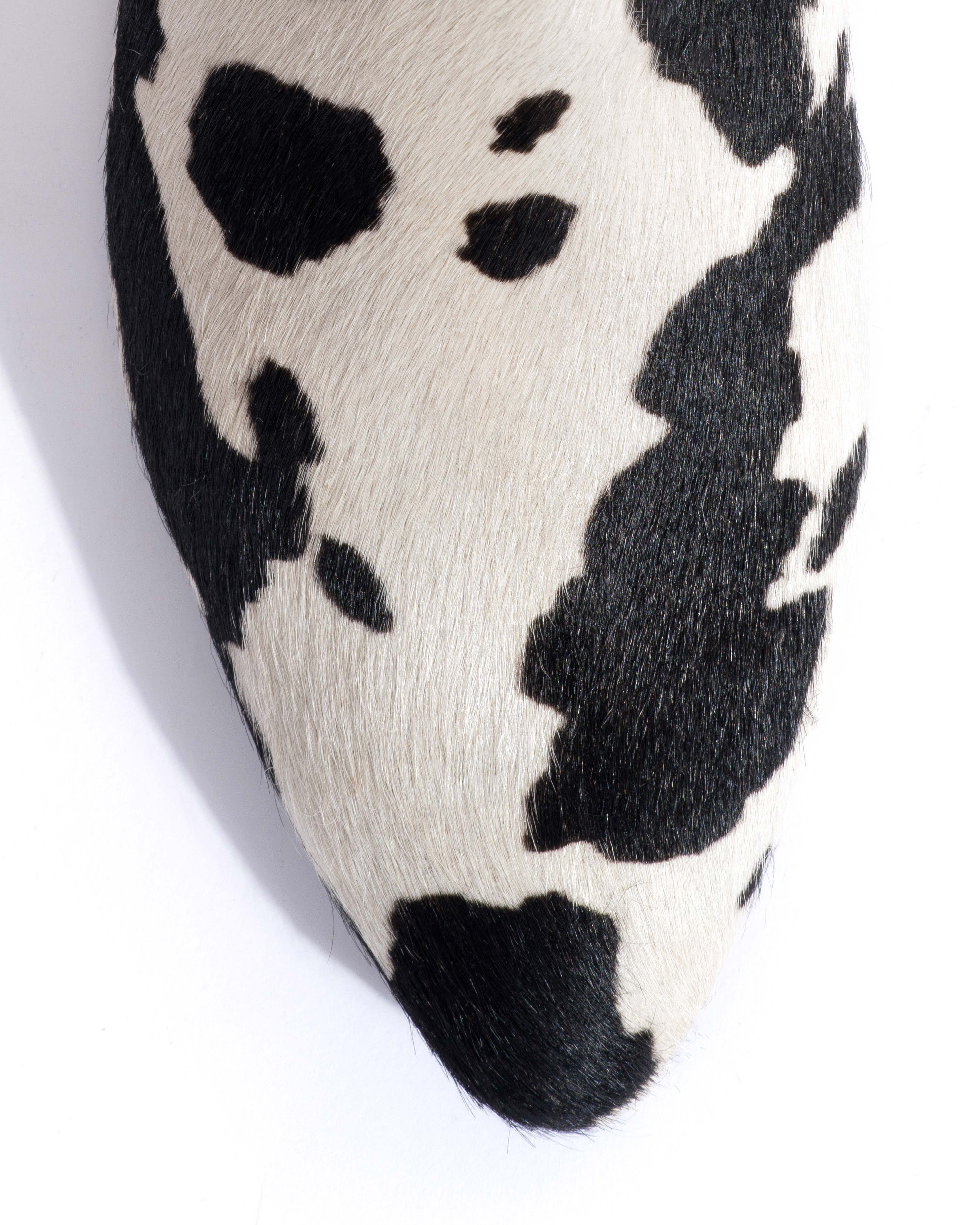 Rita Calf hair Holstein cow
