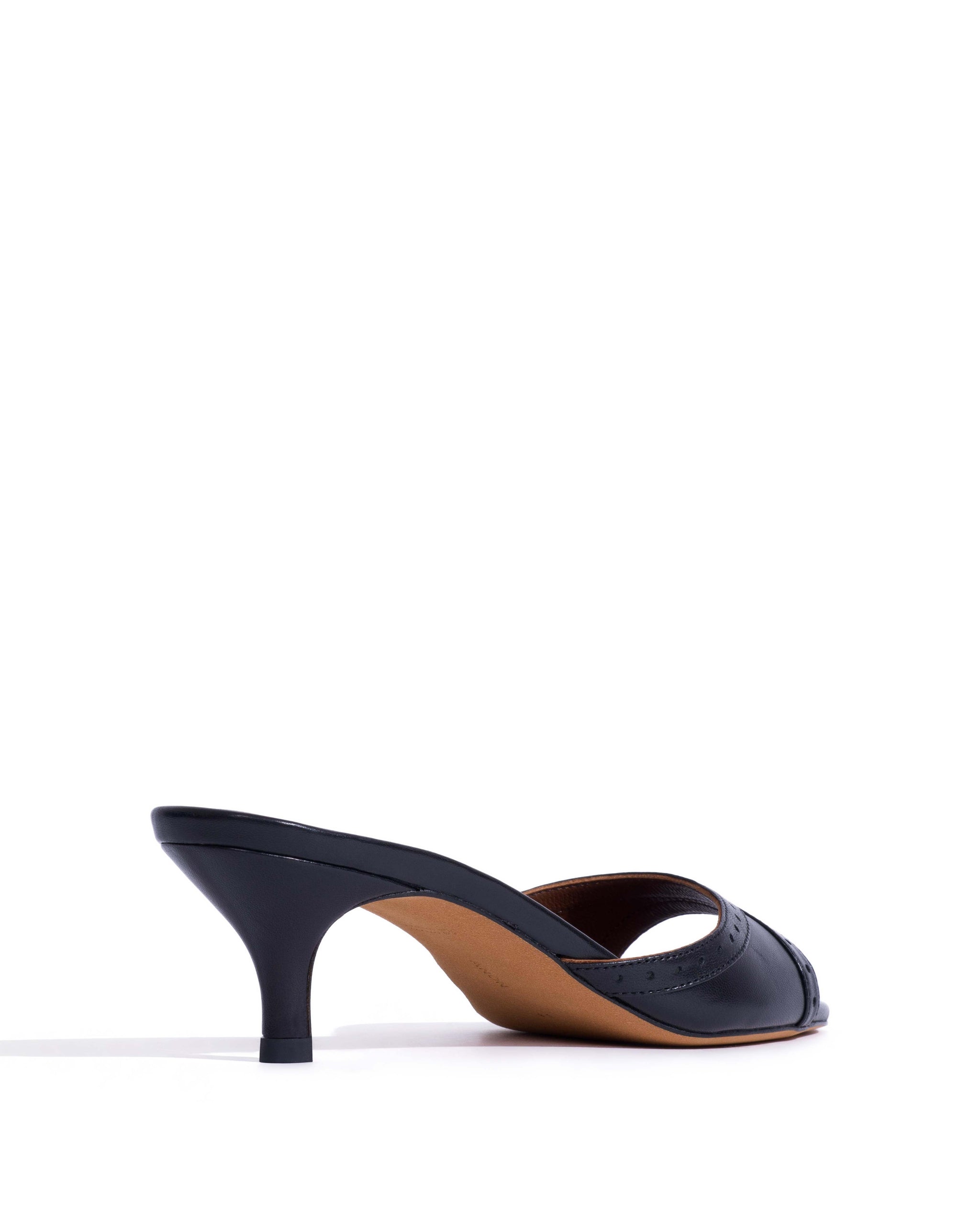 Santhy 50 kitten Shiny lamb Black