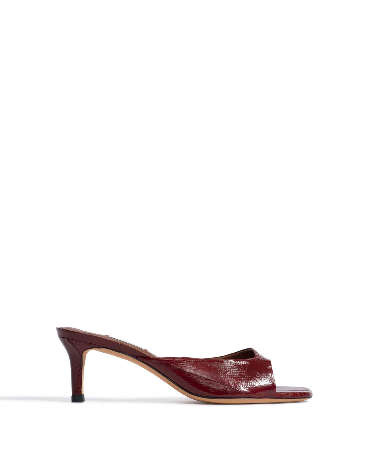 Mazy 55 Shiny eel Pomegranate