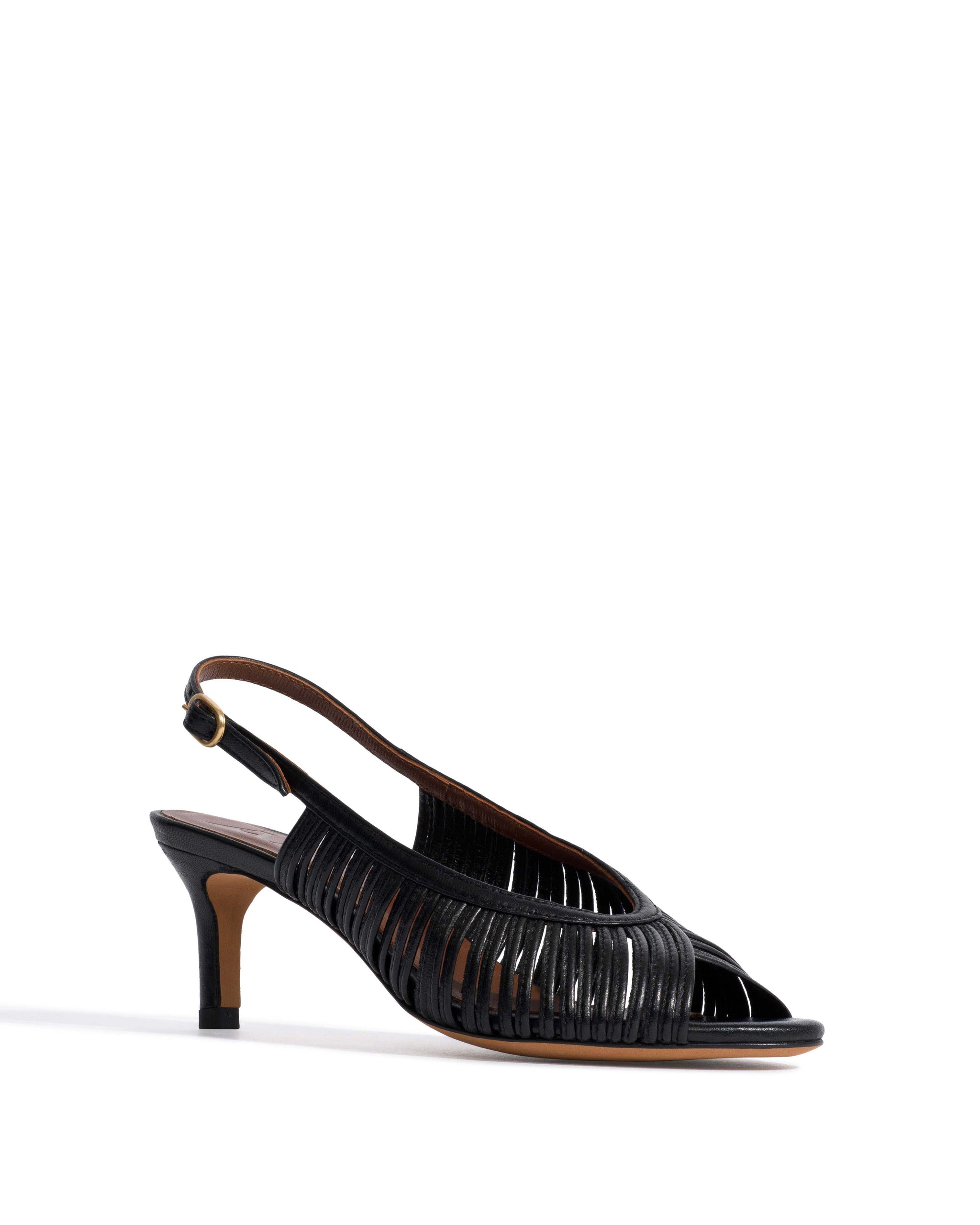 Zenia 55 Shiny lamb Black