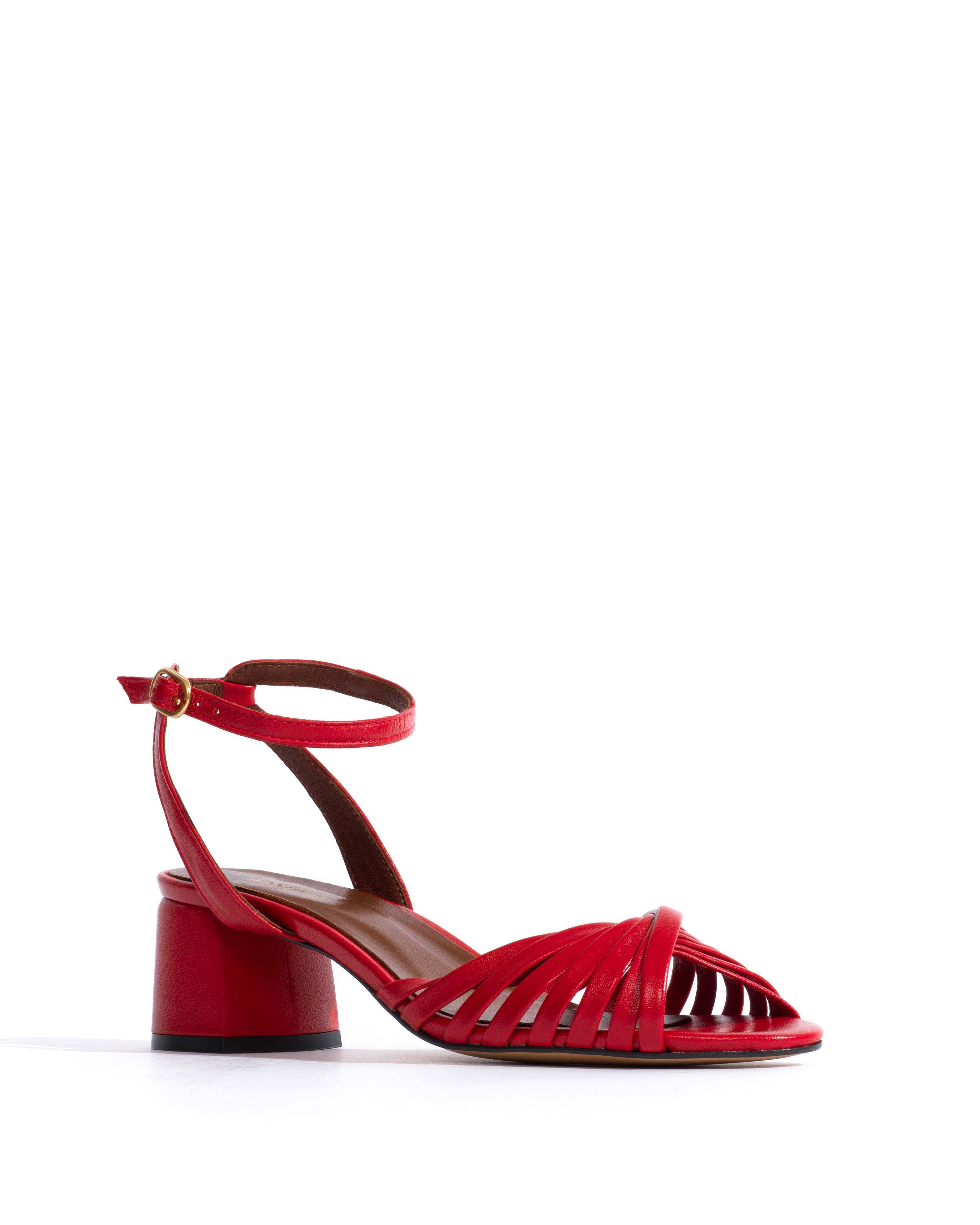 Margriet Shiny lamb Ruby red